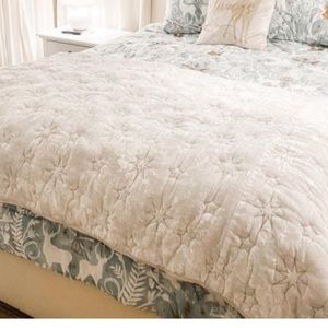 Pottery Barn Teen Harry Potter Faint Gray velvet quilt